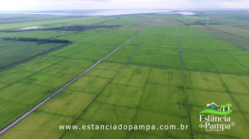 DOS EÓLICOS VIRA P FAZENDA_Moment.00_00_46_09.Quadro041_e5dbfe74a2d29412fbd1a5b046908e6da9b8a8c5.png